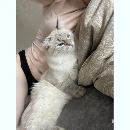 Хотим найти людей для приятного общения